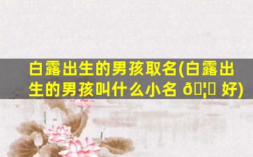白露出生的男孩取名(白露出生的男孩叫什么小名 🦍 好)